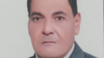 محلة دياي يناشدون رئيس مدينة دسوق بعمل مطبات صناعية | محافظات