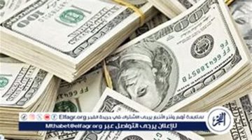 هبوط ملحوظ للدولار.. أسعار صرف العملة الأمريكية في البنوك المصرية اليوم الخميس 9 يناير 2025