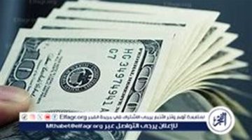 اجازة البنوك.. سعر الدولار أمام الجنيه المصري في تعاملات اليوم الجمعة 10-1-2025