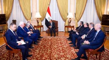 وزير الخارجية يؤكد مجددا رفض مصر أية مخططات لتهجير الفلسطينيين من أراضيهم