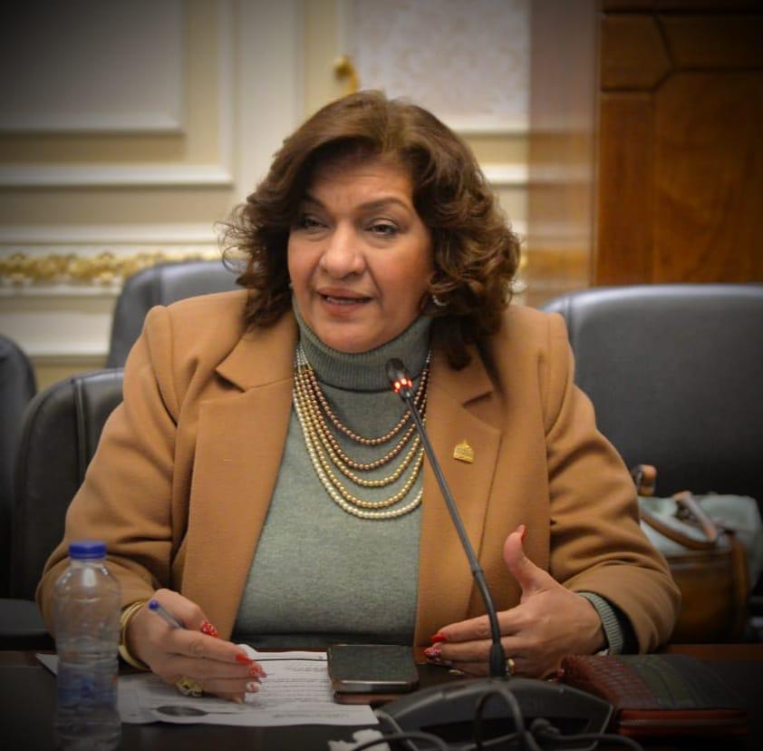 النائبة ايفلين متى : بيان الخارجية بشأن مقترح تهجير الفلسطينيين من غزة إلى مصر أكبر رد على ترامب 5 النائبة ايفلين متى : بيان الخارجية بشأن مقترح تهجير الفلسطينيين من غزة إلى مصر أكبر رد على ترامب
