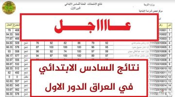 ترقبوها خلال دقائق.. نتائج السادس الابتدائي العراق 2025 والاستعلام عنها بتِلك الطريقة
