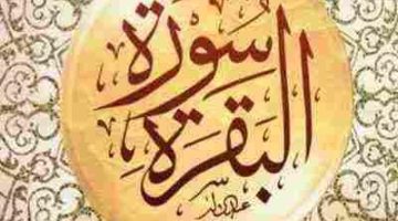 أفضل وقت مثالي لقراءة سورة البقرة لتحقيق البركة والهدوء في حياتك اليومية