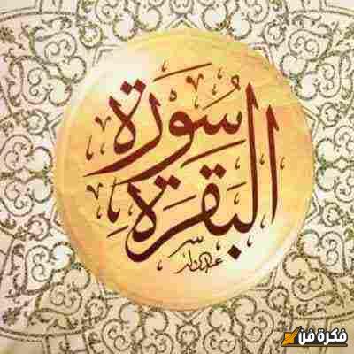 أفضل وقت مثالي لقراءة سورة البقرة لتحقيق البركة والهدوء في حياتك اليومية 5 أفضل وقت مثالي لقراءة سورة البقرة لتحقيق البركة والهدوء في حياتك اليومية