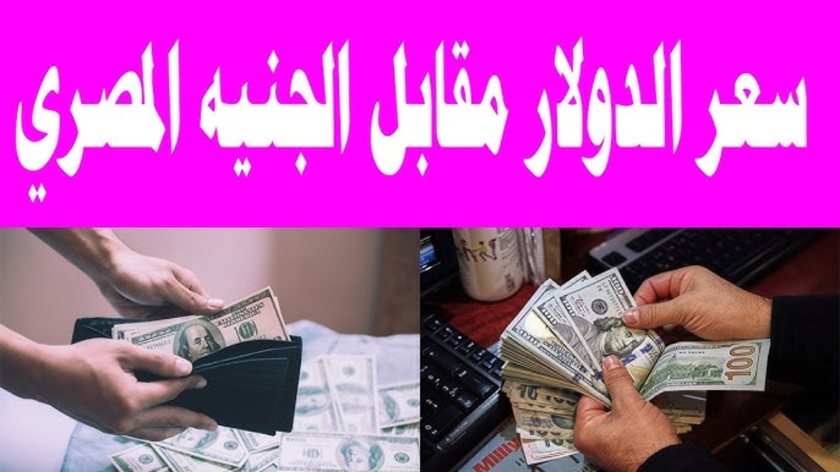 تراجع في سعر الدولار مقابل الجنيه المصري اليوم السبت 18 يناير 2025 بعد التذبذب في البنوك 5 تراجع في سعر الدولار مقابل الجنيه المصري اليوم السبت 18 يناير 2025 بعد التذبذب في البنوك