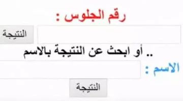بالخطوات.. استخراج نتيجة الصف الرابع الابتدائي بالاسم فقط الترم الاول 2025 فور ظهورها عبر بوابة التعليم الأساسي
