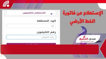 !خلاص كل حاجه بقيت سهله.. “دليل كامل للاستعلام عن فاتورة التليفون الأرضي ودفعها إلكترونيًا في مصر”!