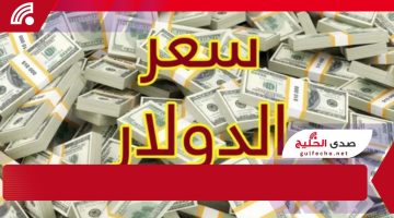 !مش هتصدق سعر الدولار وصل لكام. سعر الدولار اليوم في السوق السوداء مقابل الجنيه المصري الجمعة 17 يناير 2025!!