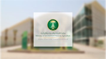بالتكامل بين القطاعات “العام والخاص وغير الربحي”.. إنجازات نوعية للاستراتيجية الوطنية للبيئة