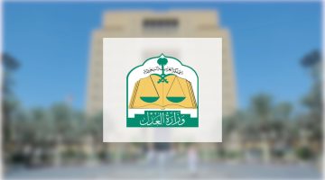 المكاتب الفنية في محاكم الاستئناف.. ركيزة أساسية لتفعيل القضاء المؤسسي