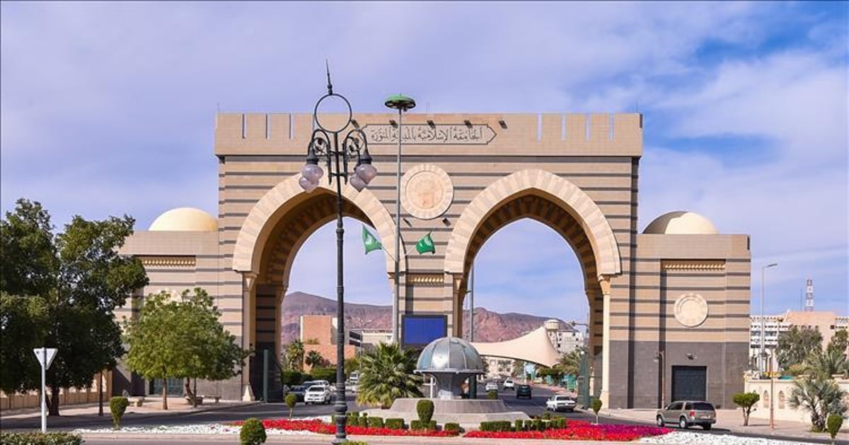 الجامعة الإسلامية بالمدينة المنوّرة تعلن تمديد فترة التقديم لبرامج الدراسات العليا لعام 1447 5 الجامعة الإسلامية بالمدينة المنوّرة تعلن تمديد فترة التقديم لبرامج الدراسات العليا لعام 1447
