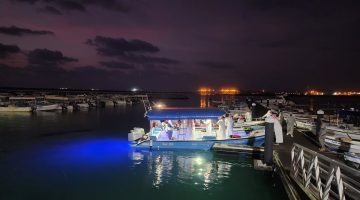 انطلاق المهرجان الأول للأسماك بمركز القحمة على شاطئ البحر  في عسير
