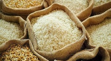 مبيعات الأرز في السعودية تتجاوز 4 مليارات دولار خلال العام الجاري