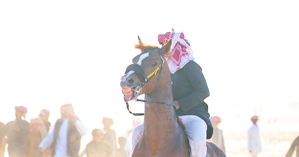 مهرجان شرورة الشتوي في نسخته الـ7..وجهة تراثية وسياحية تستقطب السياح 5 مهرجان شرورة الشتوي في نسخته الـ7..وجهة تراثية وسياحية تستقطب السياح