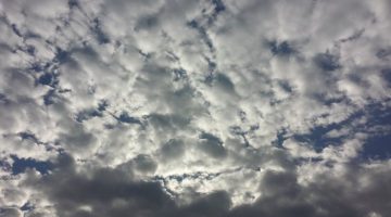 “الأرصاد” يُحذِّر من تقلبات جوية في 8 مناطق: أمطار خفيفة إلى متوسطة ورياح شديدة