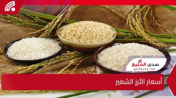 الحقي خزني قبل رمضان”.. أسعار الأرز الشعير ترتفع بشكل مفاجئ والتجار يتوقعون مزيدًا من التغيرات خلال الأيام القادمة