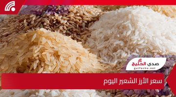 ارتفاع جديد في سعر الأرز الشعير اليوم وسط توقعات بزيادة الطلب واستقرار العرض في الأسواق المحلية