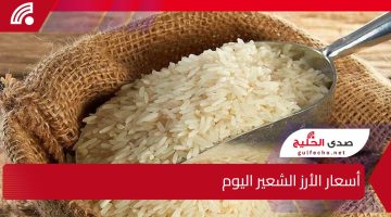 كم سعر الحبة العريضة؟ .. أحدث اسعار الأرز الشعير اليوم الخميس 9 يناير 2025 وتحديثات أسعار السلع في مصر