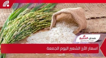 بعد الارتفاع الأخير.. كيف تؤثر اسعار الأرز الشعير اليوم على السوق والمستهلكين؟