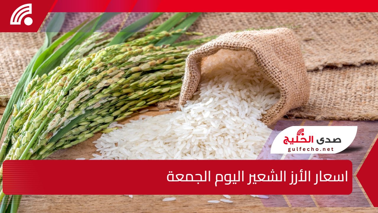 بعد الارتفاع الأخير.. كيف تؤثر اسعار الأرز الشعير اليوم على السوق والمستهلكين؟ 5 بعد الارتفاع الأخير.. كيف تؤثر اسعار الأرز الشعير اليوم على السوق والمستهلكين؟