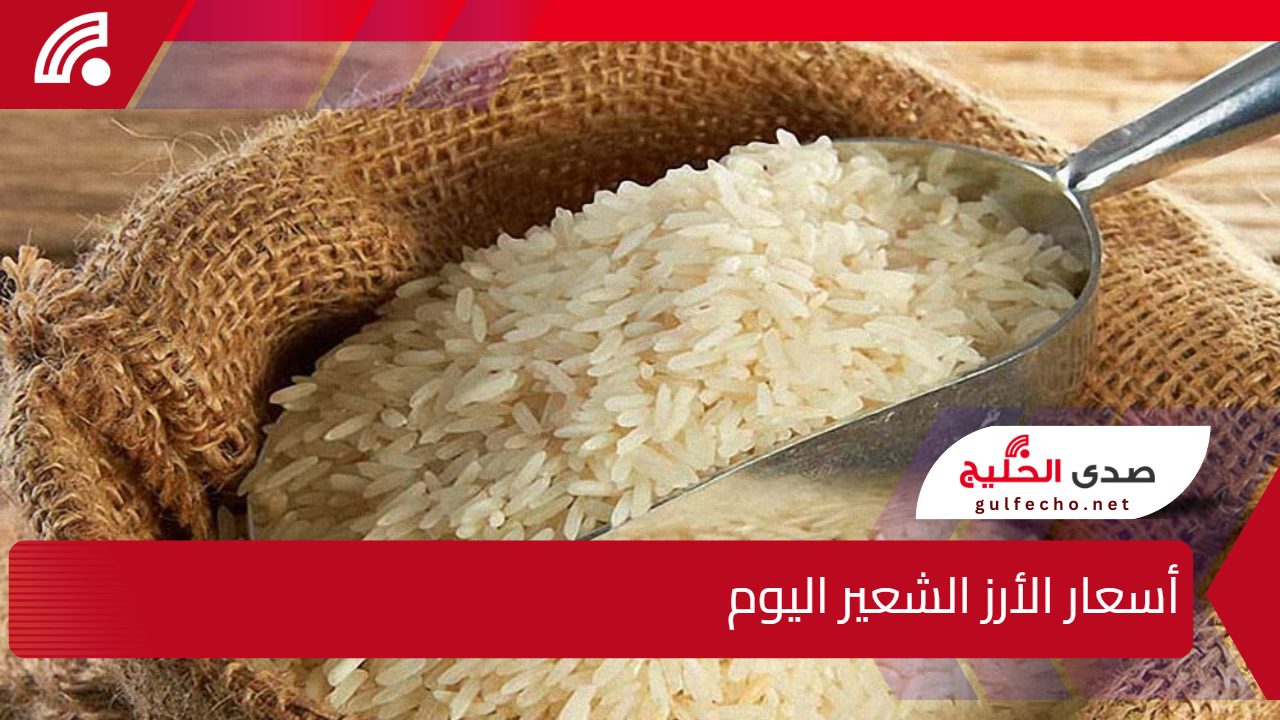 كم سعر الحبة العريضة؟ .. أحدث اسعار الأرز الشعير اليوم الخميس 9 يناير 2025 وتحديثات أسعار السلع في مصر 5 كم سعر الحبة العريضة؟ .. أحدث اسعار الأرز الشعير اليوم الخميس 9 يناير 2025 وتحديثات أسعار السلع في مصر