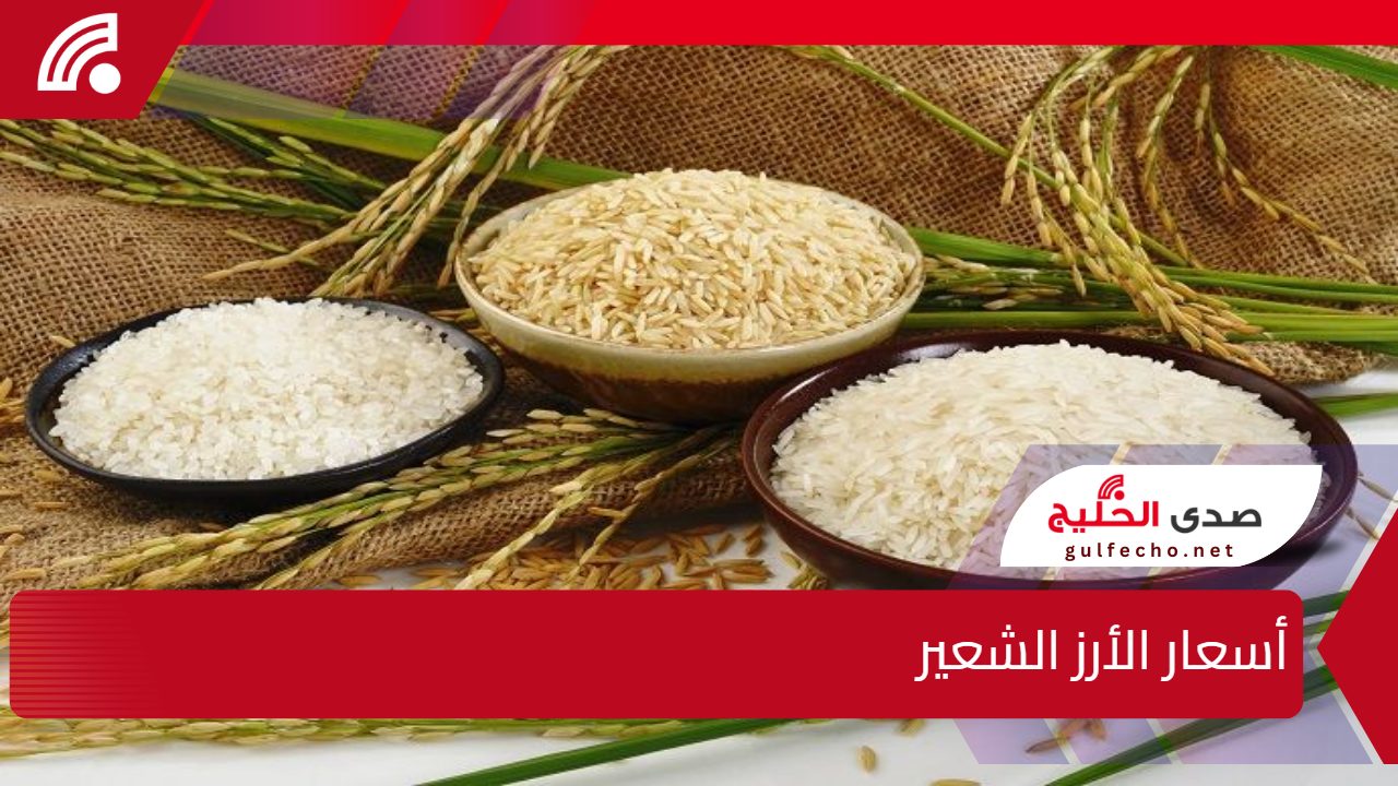 الحقي خزني قبل رمضان".. أسعار الأرز الشعير ترتفع بشكل مفاجئ والتجار يتوقعون مزيدًا من التغيرات خلال الأيام القادمة 5 الحقي خزني قبل رمضان”.. أسعار الأرز الشعير ترتفع بشكل مفاجئ والتجار يتوقعون مزيدًا من التغيرات خلال الأيام القادمة