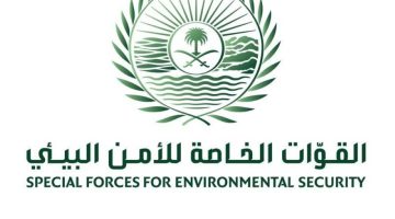 «الأمن البيئي»: ضبط مخالفين لنظام البيئة – أخبار السعودية