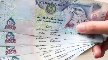 “أمريكان إيرلاينز” تحقق إيرادات قياسية بنهاية 2024