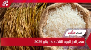خزني قبل رمضان.. تعرف على سعر الارز اليوم الثلاثاء 14 يناير 2025 ورفع الأسعار في الأسواق