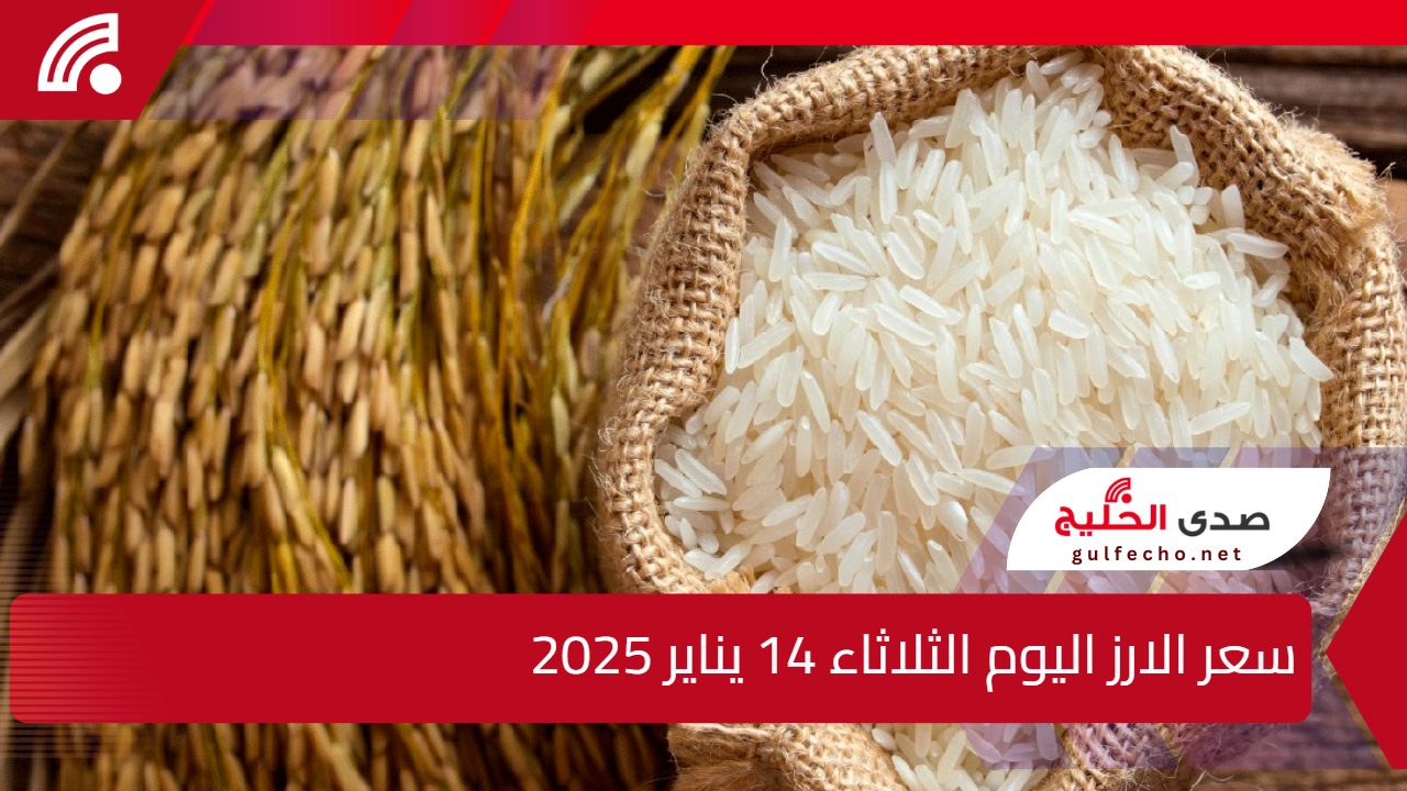 خزني قبل رمضان.. تعرف على سعر الارز اليوم الثلاثاء 14 يناير 2025 ورفع الأسعار في الأسواق 5 خزني قبل رمضان.. تعرف على سعر الارز اليوم الثلاثاء 14 يناير 2025 ورفع الأسعار في الأسواق