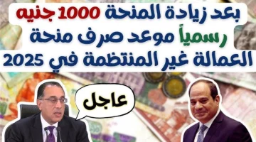 ” الكل هياخد 1000 ج ” التسجيل في منحة العمالة غير المنتظمة 2025 اقبض بشكل فوري عند التقديم