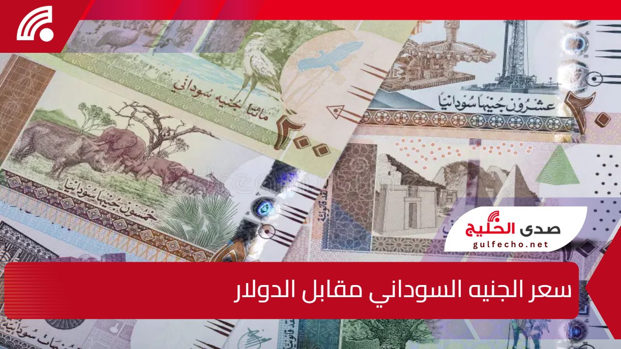 ارتفاع مفاجئ الآن.. سعر الجنيه السوداني مقابل الدولار يشهد تقلبات حادة في الأسواق 5 ارتفاع مفاجئ الآن.. سعر الجنيه السوداني مقابل الدولار يشهد تقلبات حادة في الأسواق