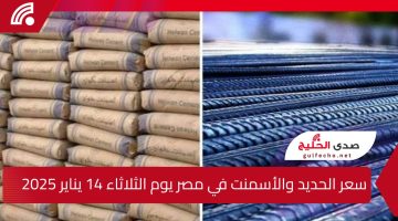 “بكام النهاردة”.. سعر الحديد والأسمنت في مصر يوم الثلاثاء 14 يناير 2025 واعرف سعر الطن في كل الشركات المختلفة
