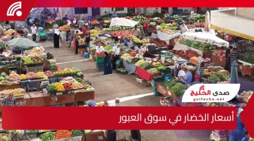 استقرار أم ارتفاع مفاجئ؟ تعرف على أسعار الخضار في سوق العبور اليوم وتأثيرها على الأسواق المحلية