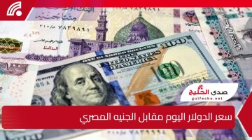 “الوضع مستقر” أسعار الدولار اليوم مقابل الجنيه المصري 24 يناير بالبنوك