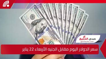 وفق آخر التحديثات … سعر الدولار اليوم مقابل الجنيه المصري الأربعاء 22 يناير في مختلف البنوك المصرية