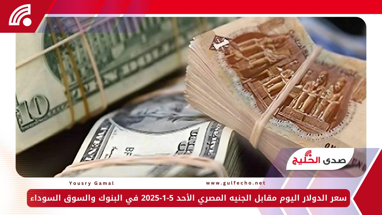 سعر الدولار اليوم مقابل الجنيه المصري الأحد 5-1-2025 في البنوك والسوق السوداء 5 سعر الدولار اليوم مقابل الجنيه المصري الأحد 5-1-2025 في البنوك والسوق السوداء