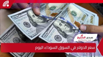 استمرار التقلبات في سعر الدولار في السوق السوداء اليوم بفعل الطلب المتزايد والتغيرات في سوق الصرف