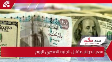 سعر الدولار مقابل الجنيه المصري اليوم الأحد 19 يناير 2025 يشهد استقرارا مفاجئا رغم التوقعات بتغيرات كبيرة