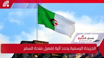 مرسوم تنظيمي بالجريدة الرسمية يحدد آلية تفعيل منحة السفر بعد الزيادة الجديدة.. إليك الحقيقة الكاملة