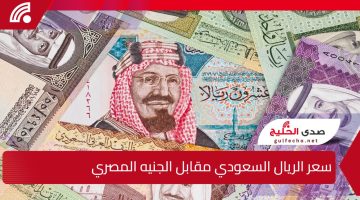 ارتفاع مفاجئ يهز الأسواق.. تعرف على سعر الريال السعودي مقابل الجنيه المصري اليوم والتوقعات القادمة