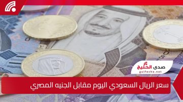 “مفاجأة” سعر الريال السعودي مقابل الجنيه المصري بالبنوك 16 يناير