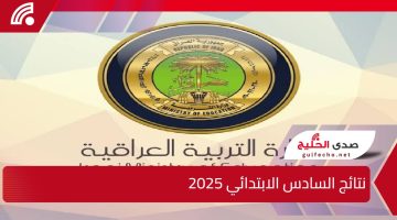 بعد ظهورها.. طريقة الاستعلام عن نتائج السادس الابتدائي 2025 بالرقم الامتحاني والاسم عبر موقع نتائجنا