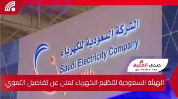 الهيئة السعودية لتنظيم الكهرباء تعلن عن تفاصيل التعويضات المالية للمواطنين المتضررين من انقطاع التيار الكهربائي في الجنوب.. 50 ريال لكل ساعة إضافية