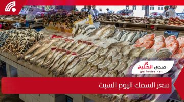 البلطي وصل كام؟.. سعر السمك اليوم السبت 11 يناير 2025 في الأسواق المصرية
