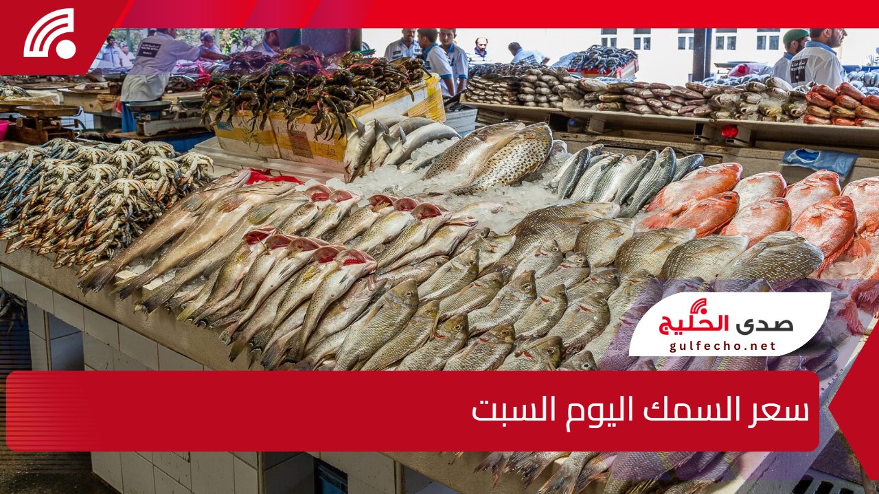 البلطي وصل كام؟.. سعر السمك اليوم السبت 11 يناير 2025 في الأسواق المصرية 5 البلطي وصل كام؟.. سعر السمك اليوم السبت 11 يناير 2025 في الأسواق المصرية