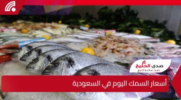 إذا تبغى السمك الطازج.. أسعار السمك اليوم في السعودية السبت 11 يناير 2025 في الأسوق السعودي