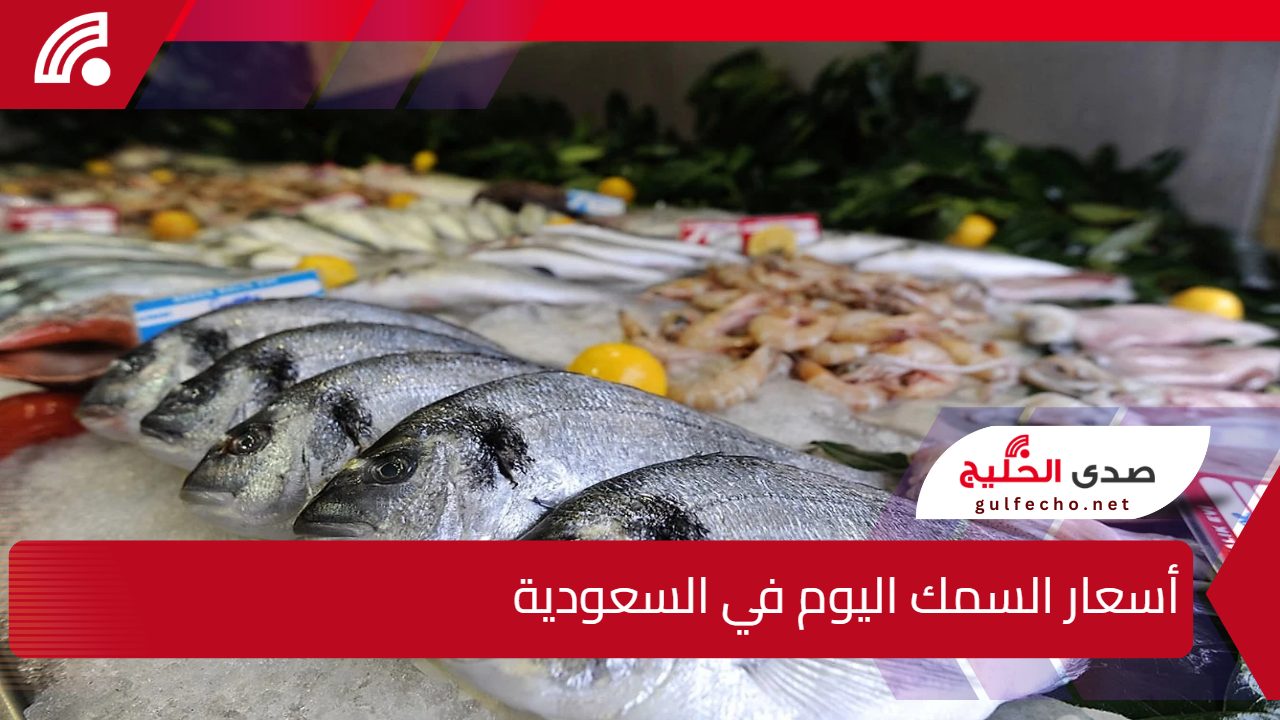 إذا تبغى السمك الطازج.. أسعار السمك اليوم في السعودية السبت 11 يناير 2025 في الأسوق السعودي 5 إذا تبغى السمك الطازج.. أسعار السمك اليوم في السعودية السبت 11 يناير 2025 في الأسوق السعودي