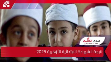 برقم الجلوس والاسم … نتيجة الشهادة الابتدائية الأزهرية 2025 عبر بوابة الأزهر الإلكترونية