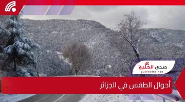 أحوال الطقس في الجزائر.. موجة برد قارس وأمطار غزيرة تضرب عدة ولايات وتحذيرات من اضطرابات جوية وثلوج قادمة